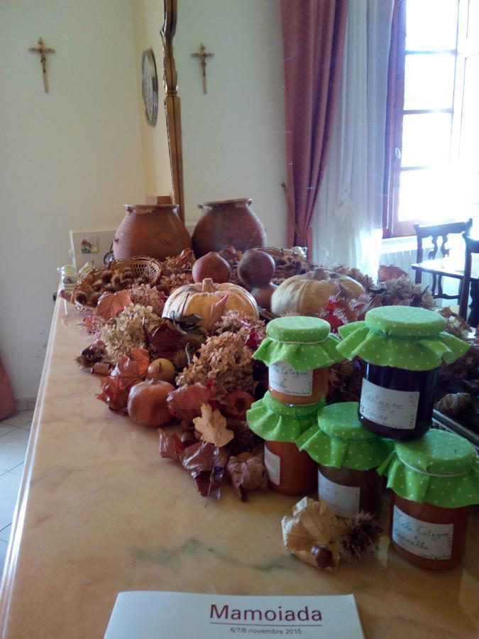 Frühstückspension Domus Deiana